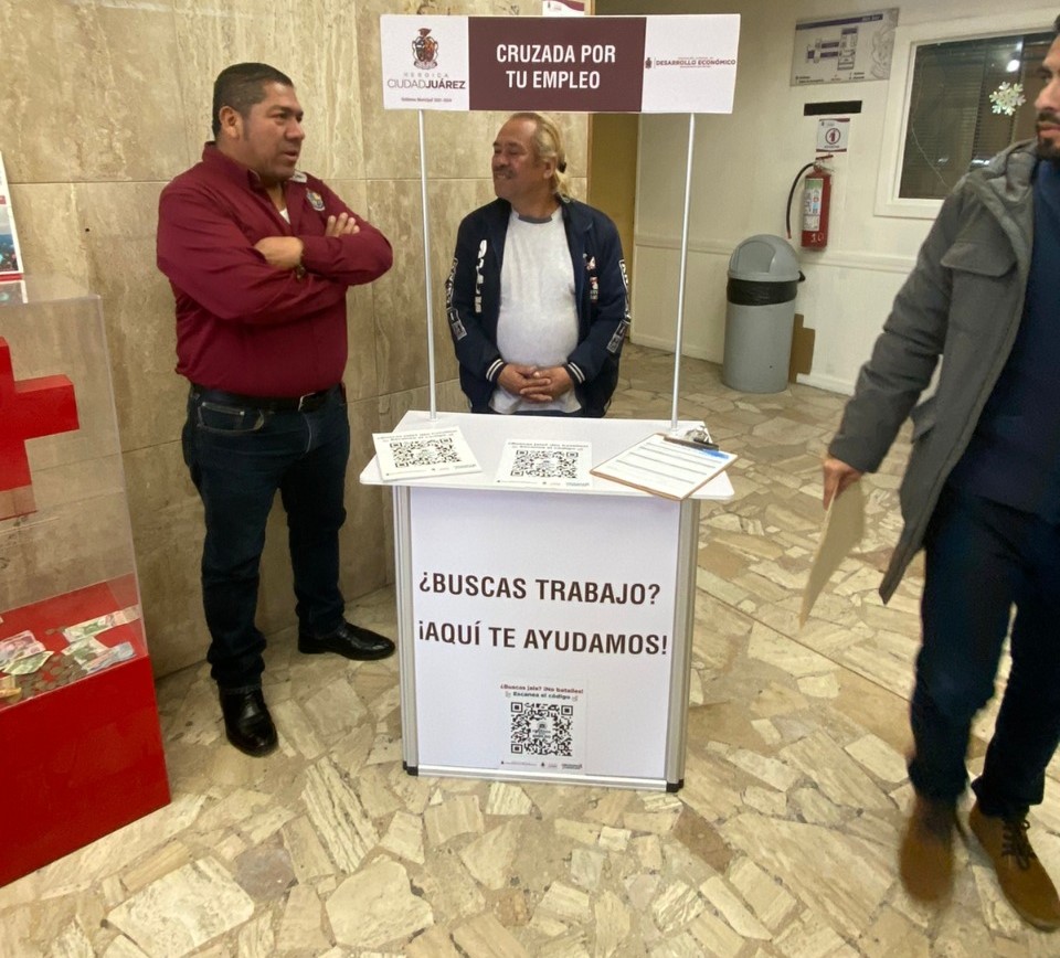 modulo empleo