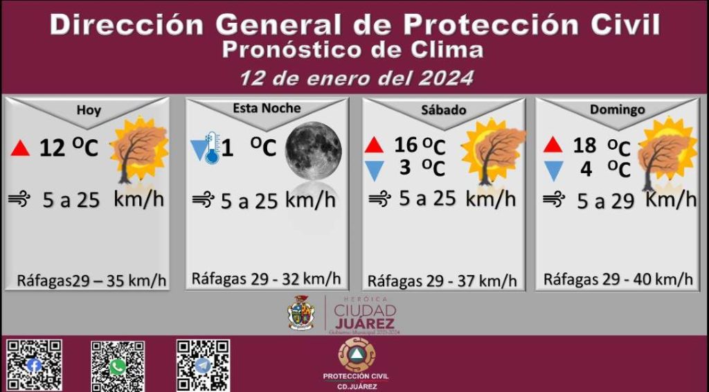 prono-12en