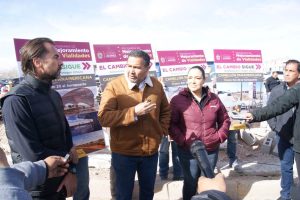 supervision camellon1