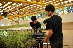 voluntarios-vivero chami