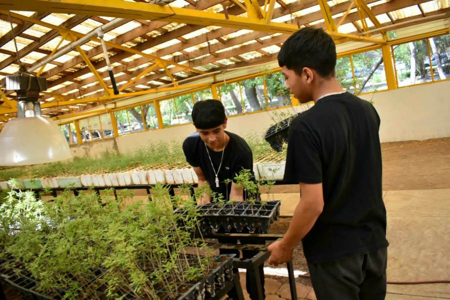 voluntarios-vivero chami