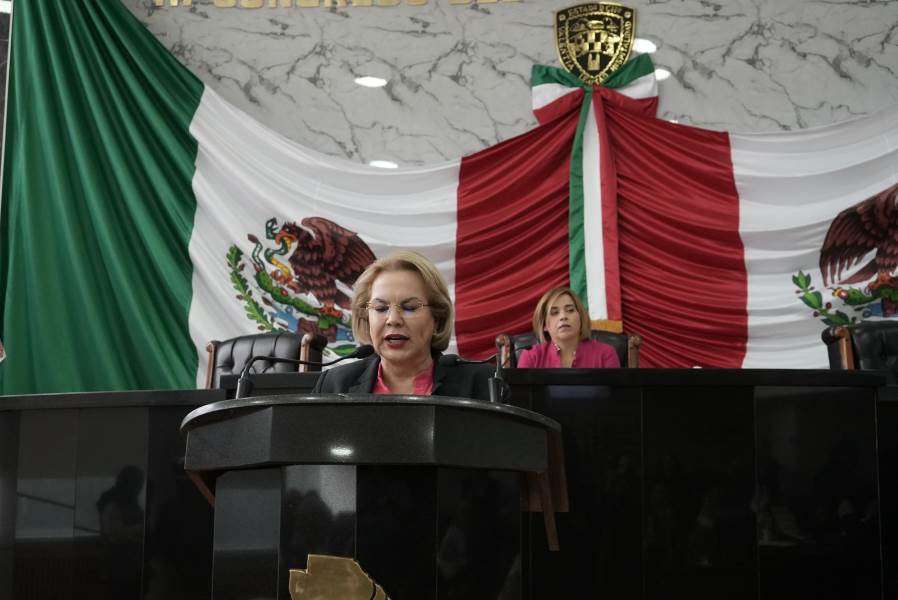 Dip Adriana Terrazas-informe