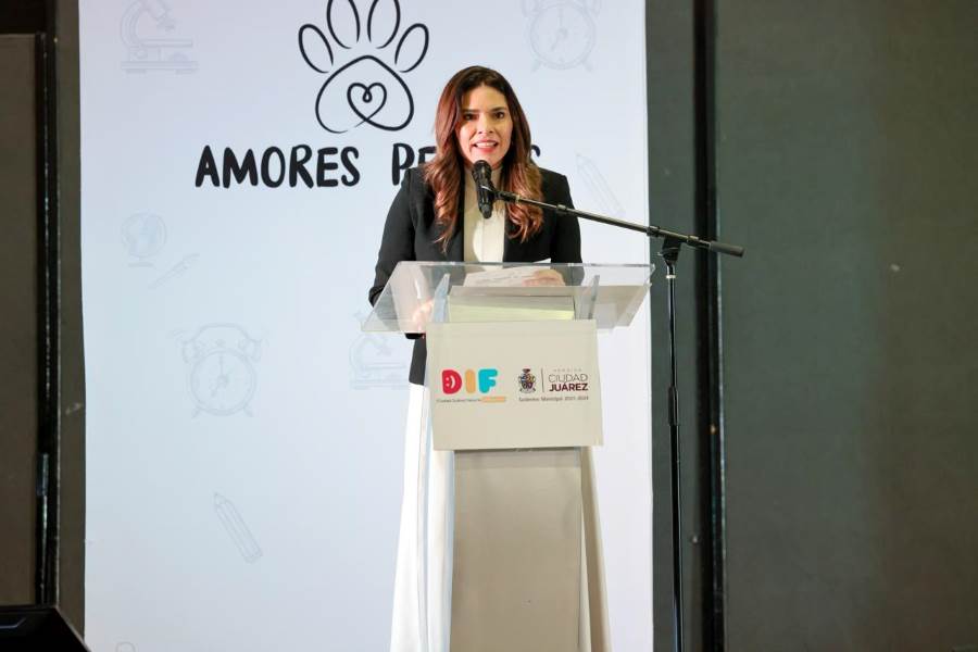 Rubi-amores perros