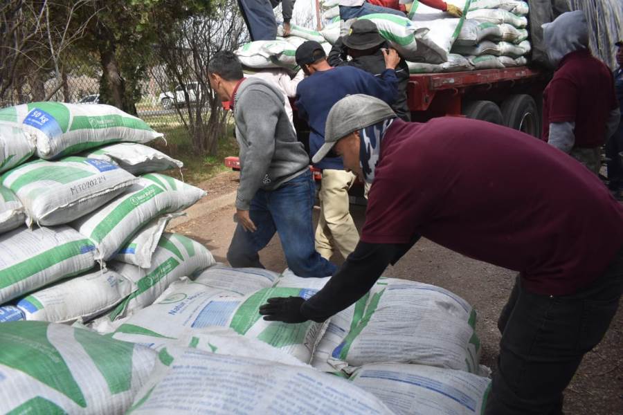 cargamento de abono organico