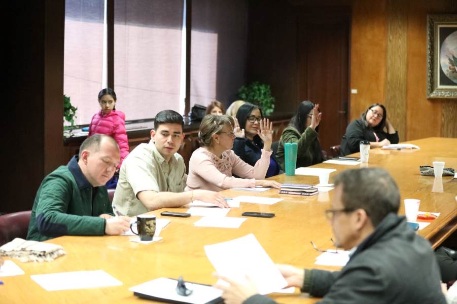 consejo participacion ciudadana