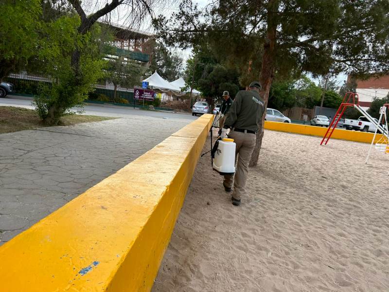 fumigan parque borunda