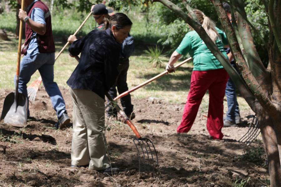 voluntaariado dia de la tierra