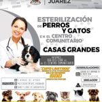 Continúa campaña esterilización mascotas