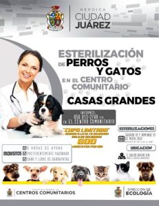 campaña esterelizacion