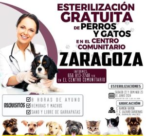 continua campaña esterilizacion