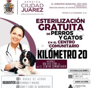 esterilizacion-km20