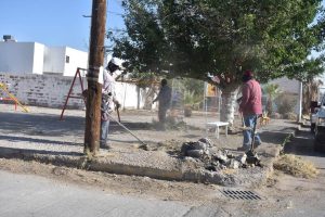 mantenimiento parque
