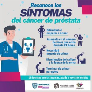 revision cancer prostata