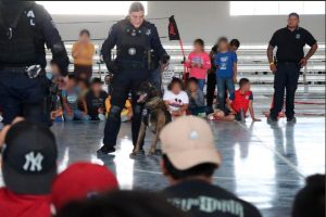 demostraciones en campamento