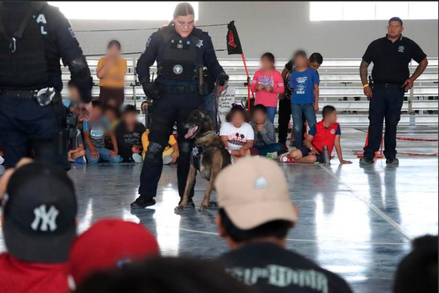 demostraciones en campamento