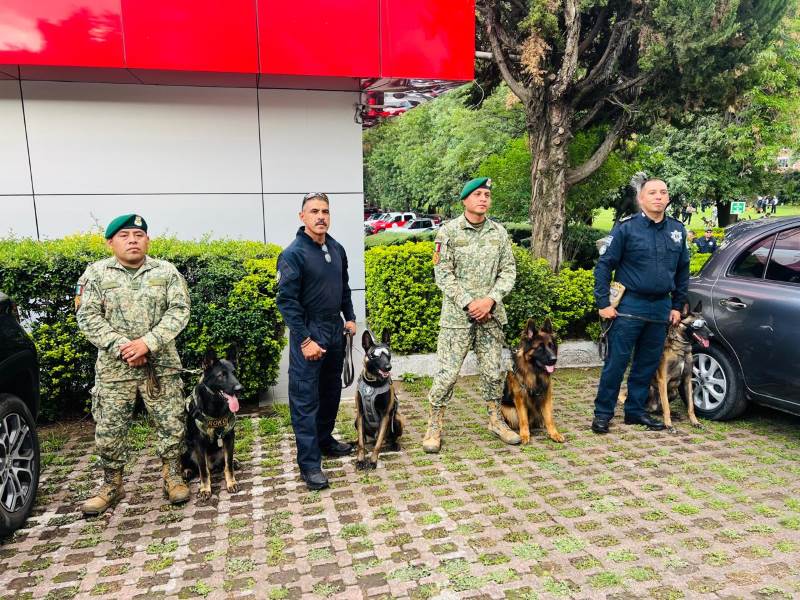 reconocimiento grupo canino