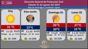 prono-31ag