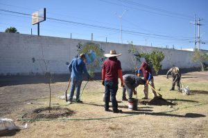 reforestan albergues