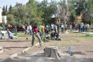 reforestan parque monumental