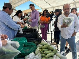 venta hortalizas pdcia