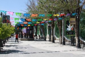 vigilancia vial por juangabrielisimo