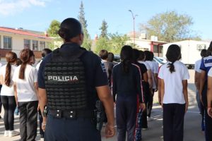 arranco prog valorat