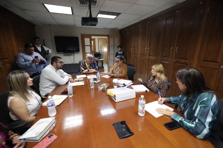 comision revisora