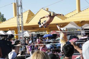 festival lucha1