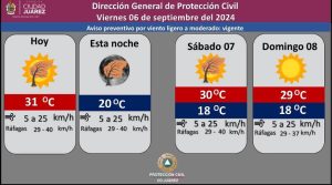 prono-6ag24