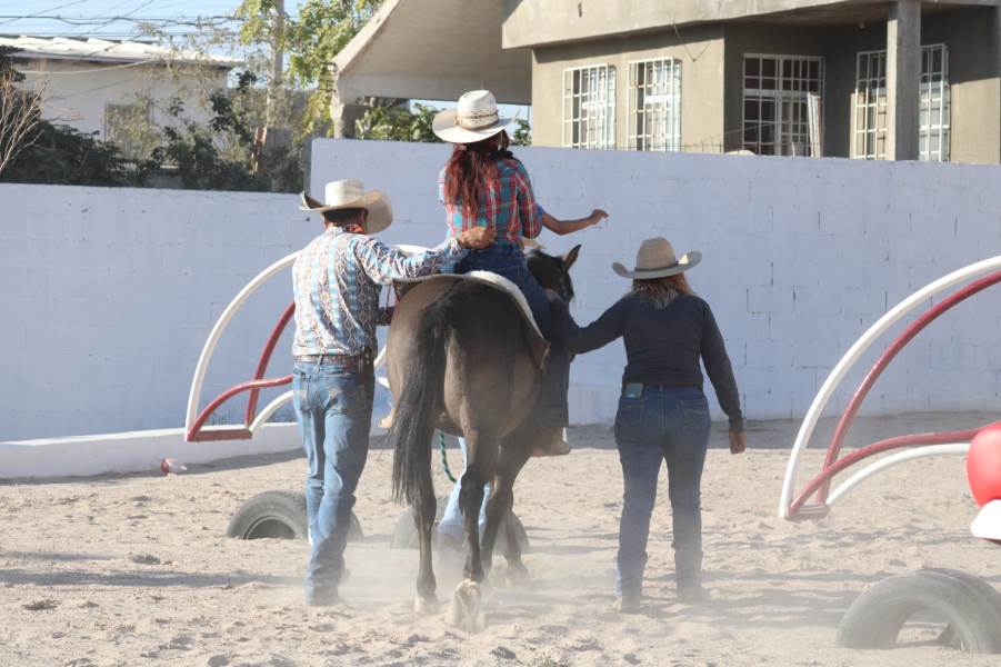 equinoterapia-c com