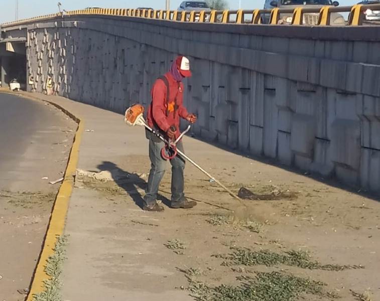 limpian la talamas