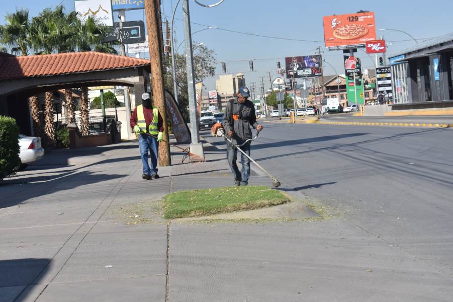 mantenimiento a avenidas