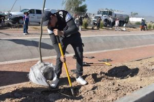 reforestacion parque lineal