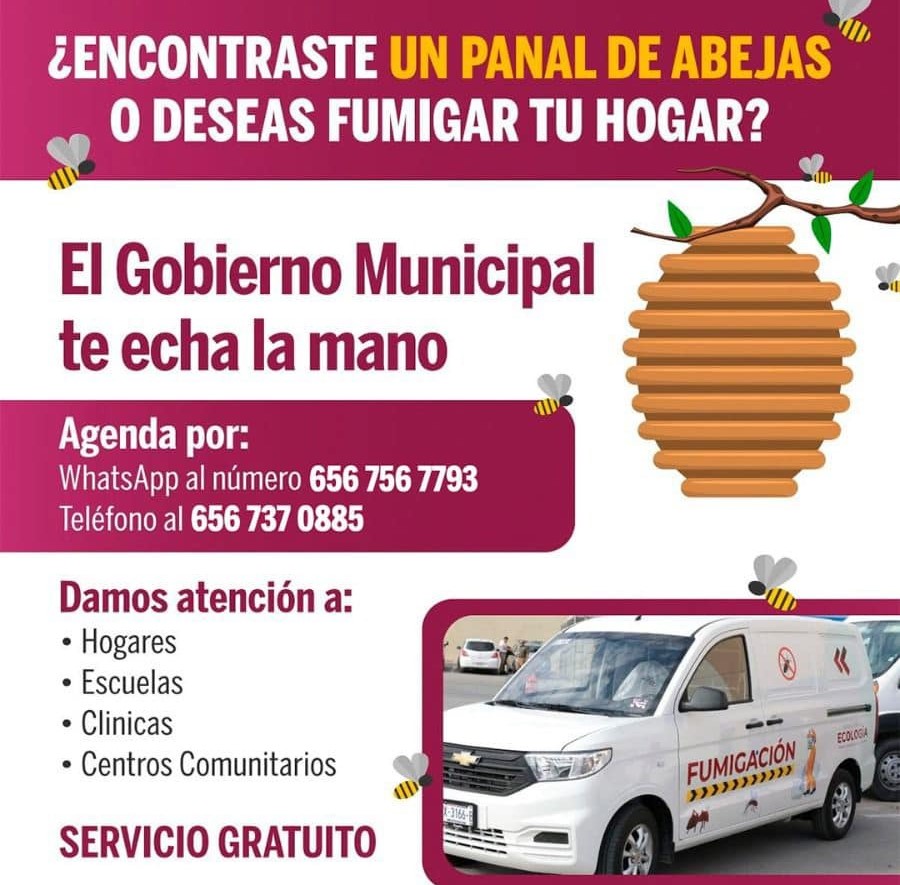 retiro enjambre abejas