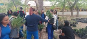 taller composta1