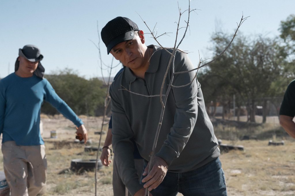 reforestacion alejandro2