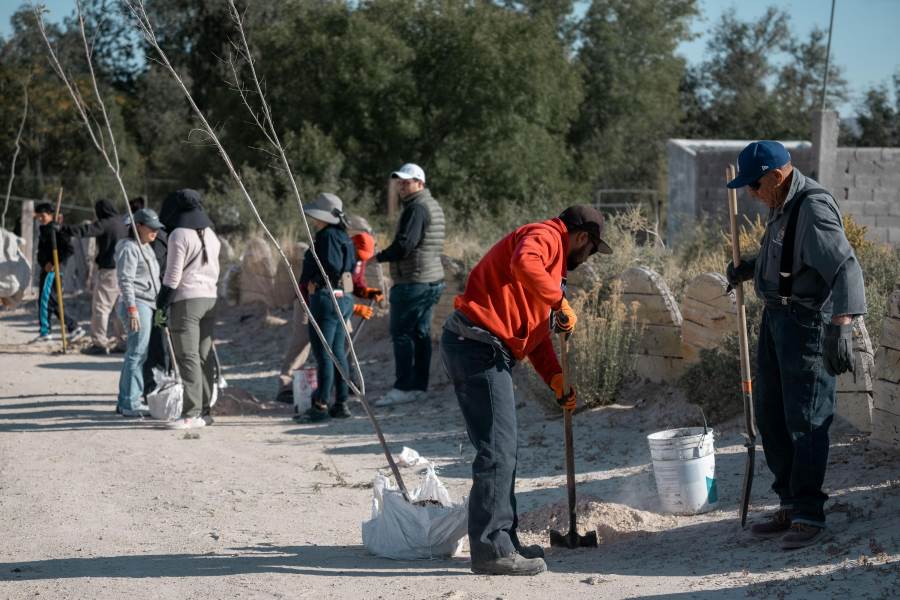 reforestacion samalayuca1