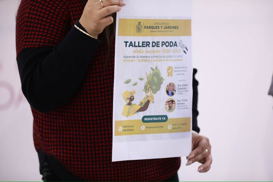 taller poda arboles