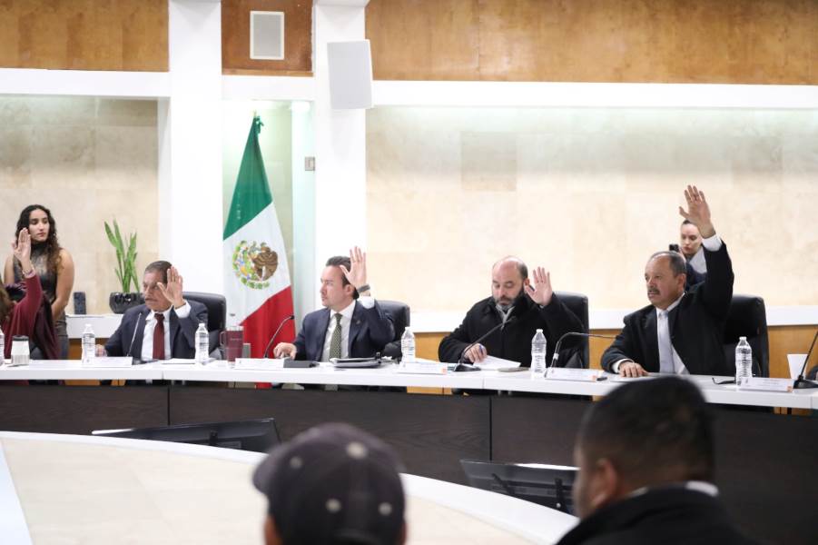 cabildo reforestacion chami