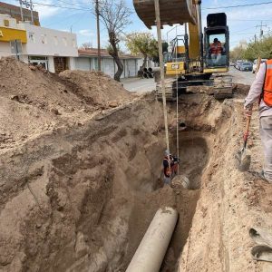 colector insurgentes