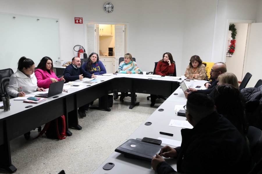 comite tecnico