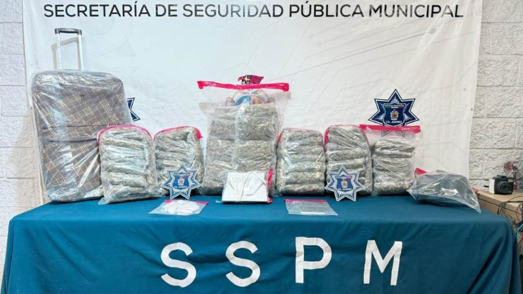 droga confiscada