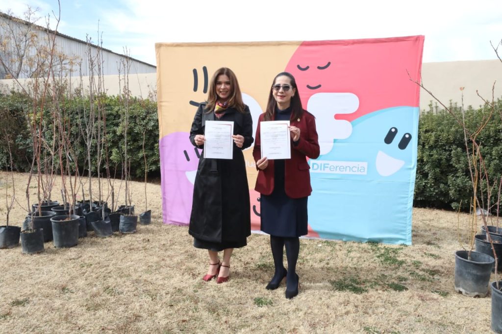 recibe dif arboles