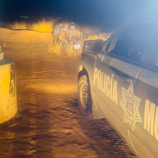 adoptan perro abandonado