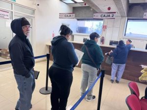 contribuyentes predial