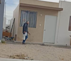 fumigan viviendas