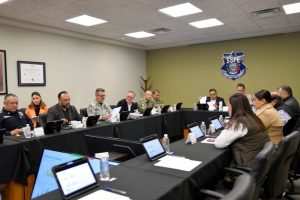 Ortiz Orpinel-mesa seguridad estat