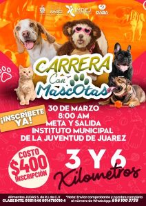 carrera mascotas