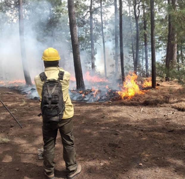 mas brigadistas control incendios