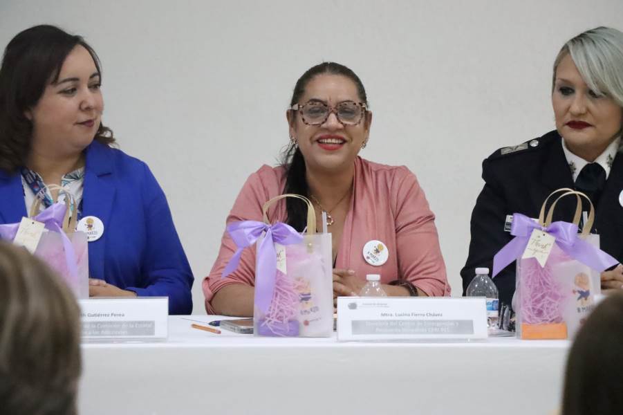 reconocimiento a dtra del ceri